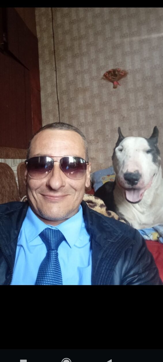 ���� 31244391 ������� ������, 47 ���, ���� ���������� � �������-��-����