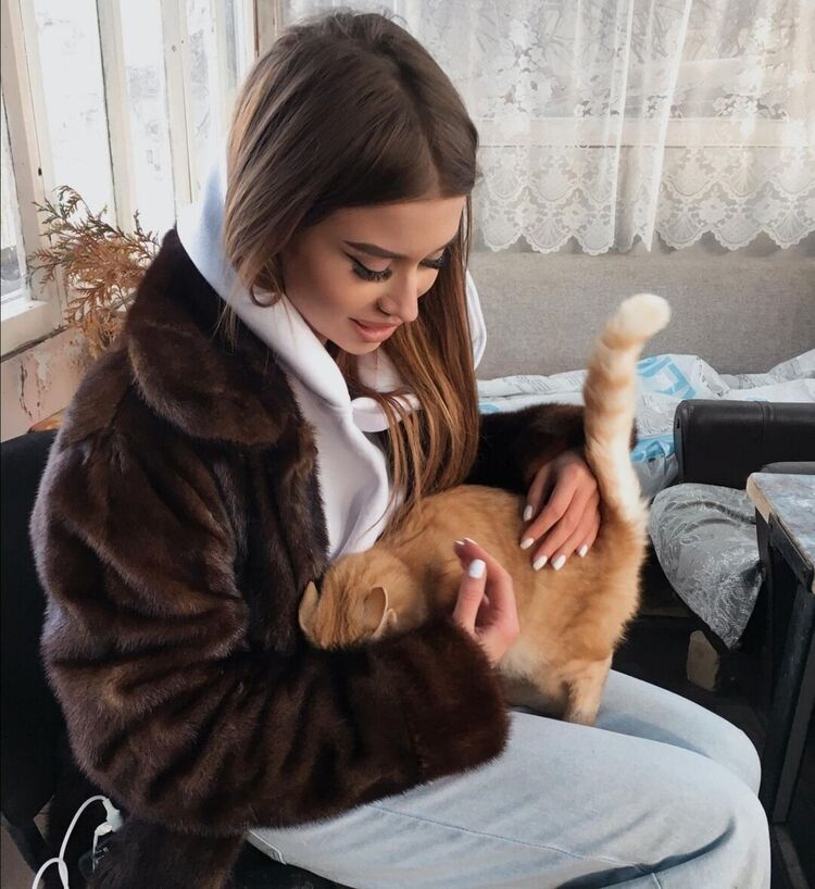 ���� 22380431 ������� ���������, 24 ����, ���� ���������� � ������