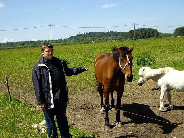  4223241  Grisha, 44 ,    