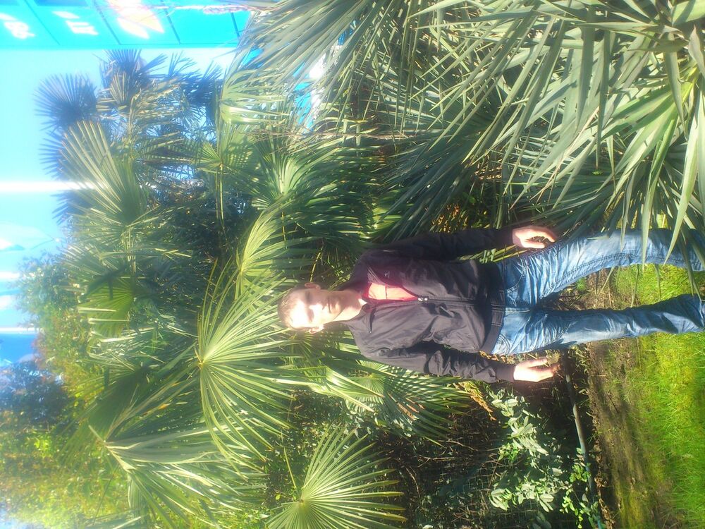  ,   , 41 ,   ,   , c , 