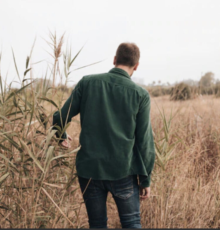 ���������� ������, ���� ������� ����, 41 ���, ������������ ��� ������, ����� � ���������