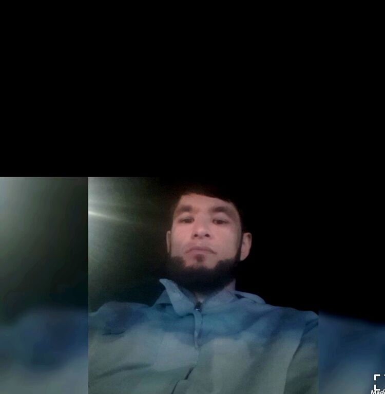 ���� 56335001 ����� ������, 23 ����, ���� ���������� � ��������