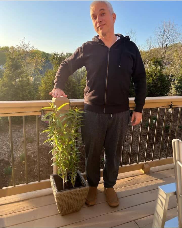  51067411  Daniel brown, 61 ,    Brentford