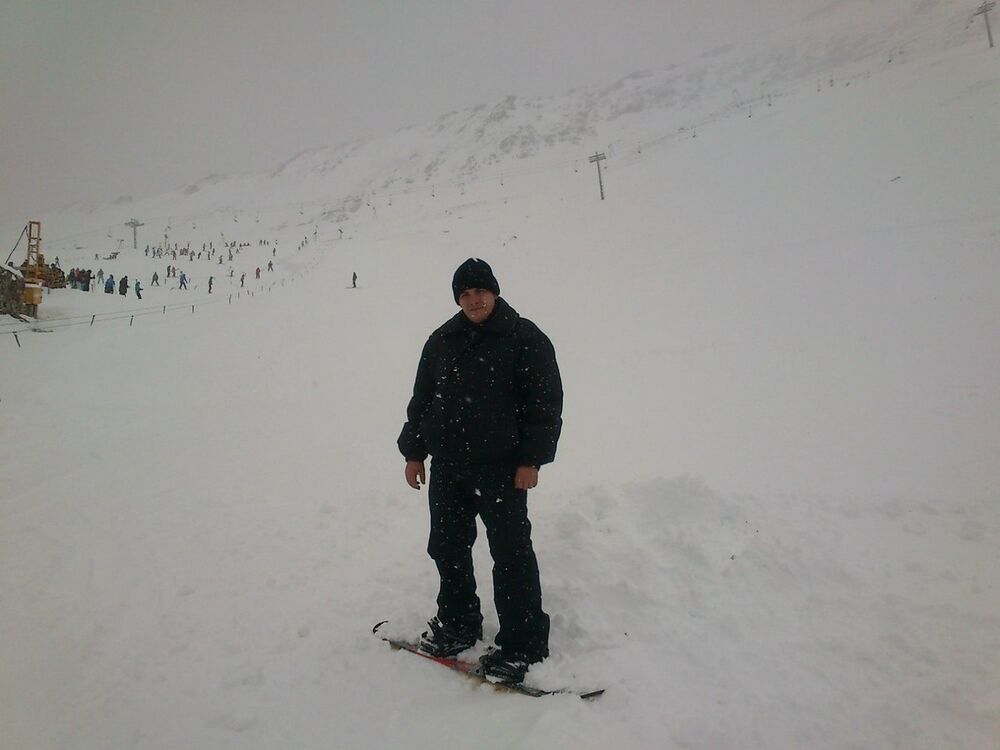  8587521  , 41 ,    --