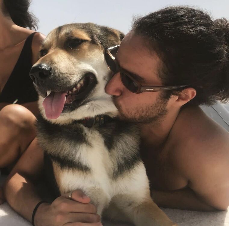 ���������� ������, ���� ������� Crave, 29 ���, ������������ ��� ������, ����� � ���������, c�������� ���������