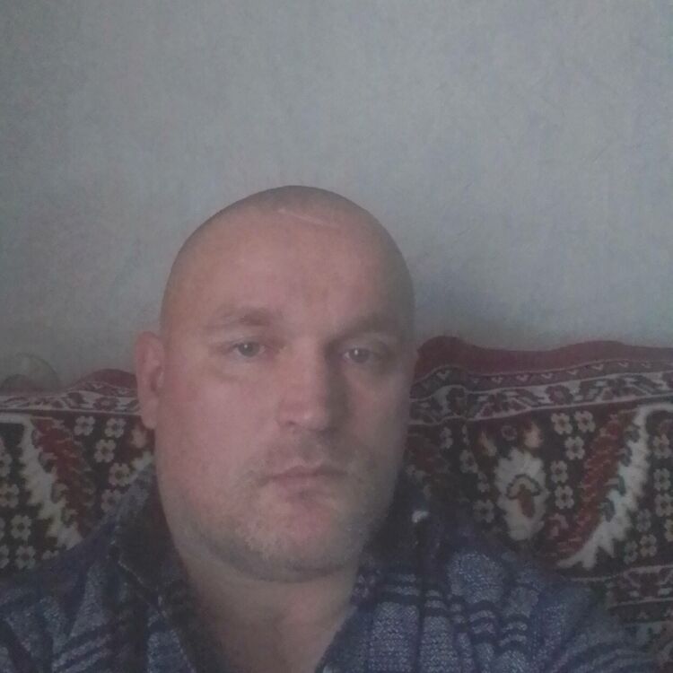  33609081  , 48 ,     