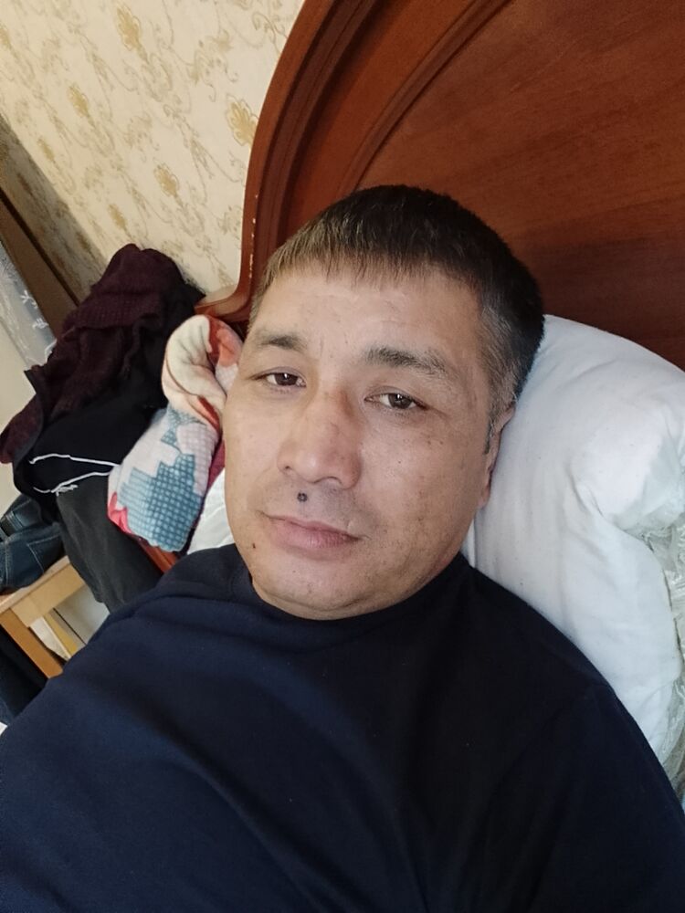  49827321  , 44 ,    