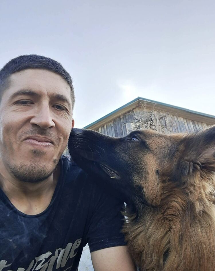  54464601  , 36 ,    -