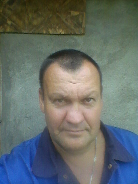  33978371  , 53 ,    