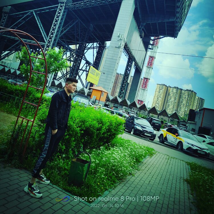 ���� 31366011 ����� ������, 24 ����, ���� ���������� � ������