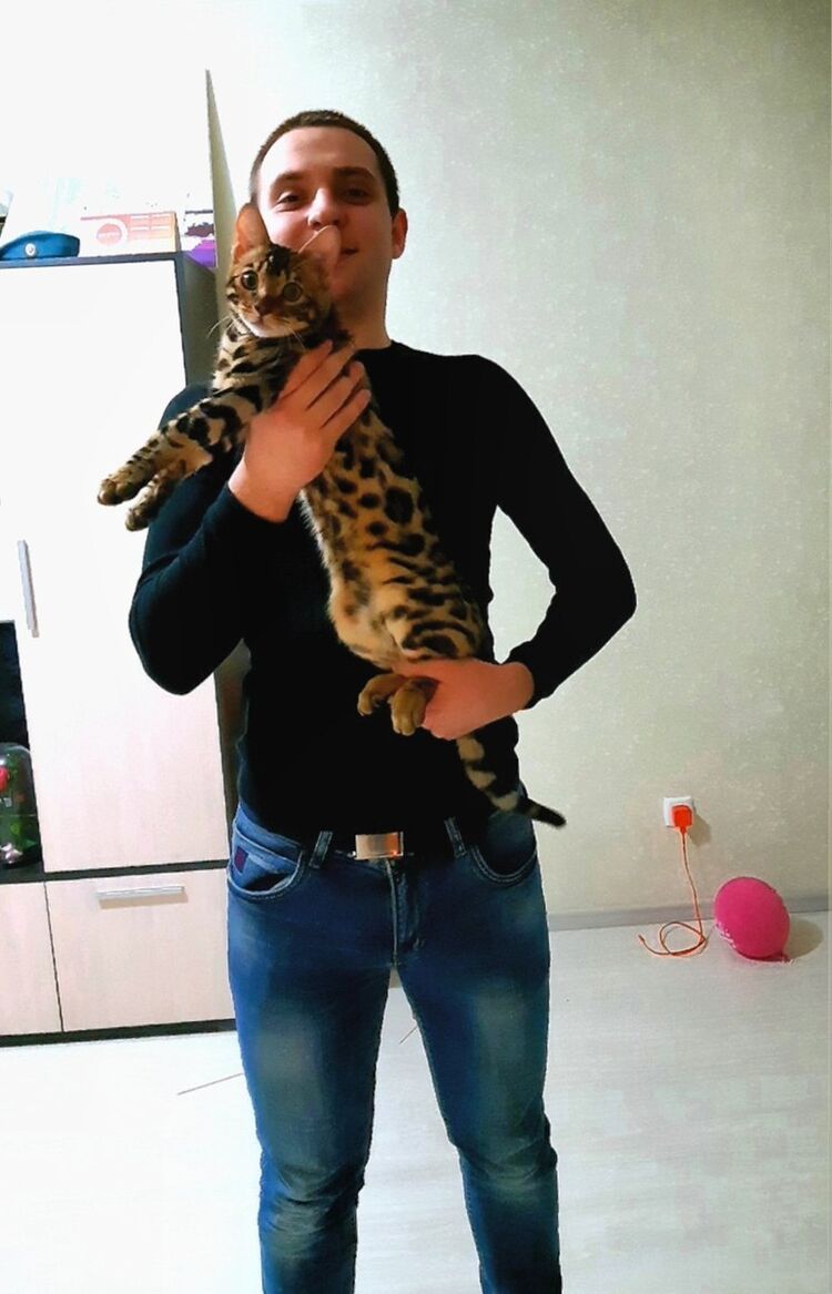 ���� 17222441 ������� ����, 29 ���, ���� ���������� � �������