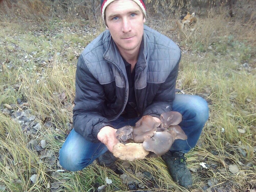 ���� 8370631 ������� �������, 37 ���, ���� ���������� � �����