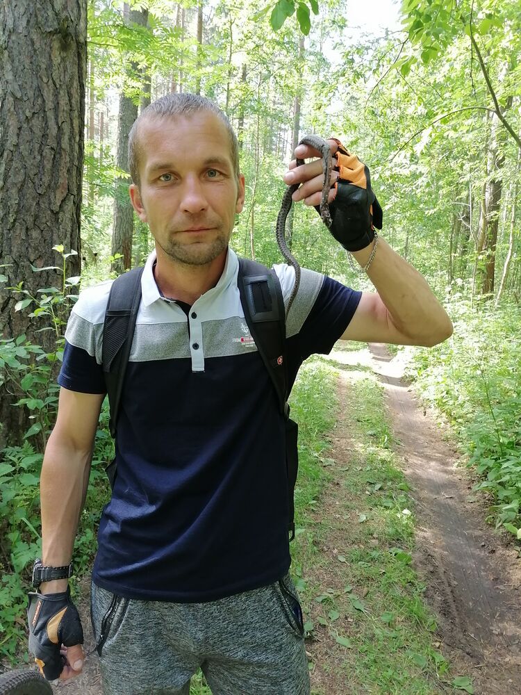 ���������� ���������, ���� ������� ���, 41 ���, ������������ ��� ������