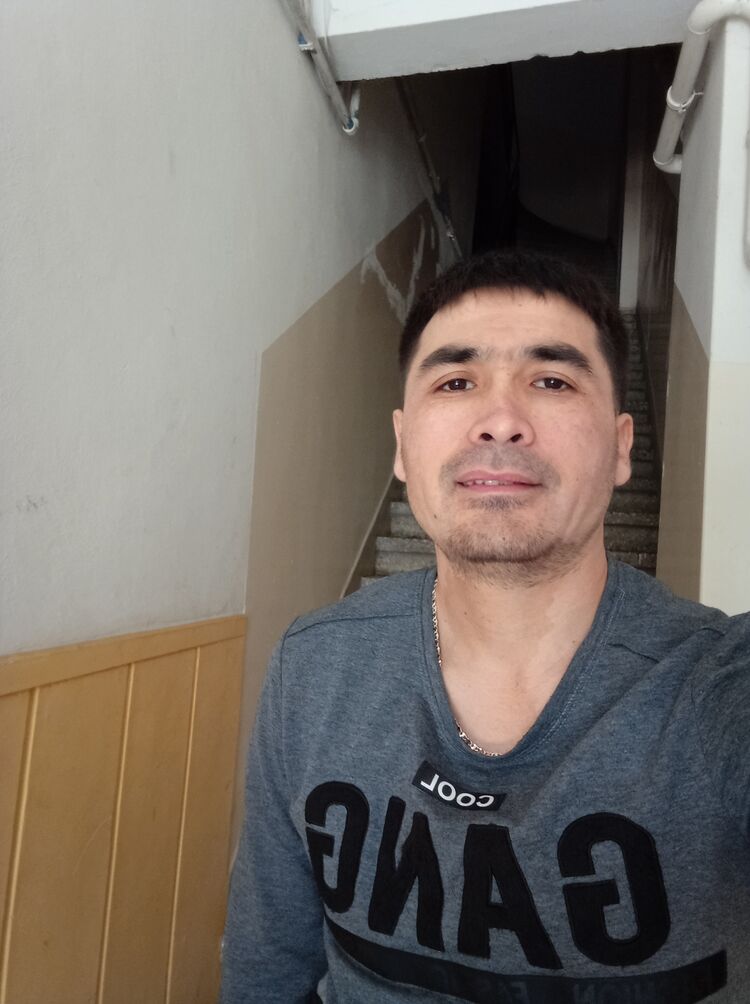  43288541   , 55 ,     