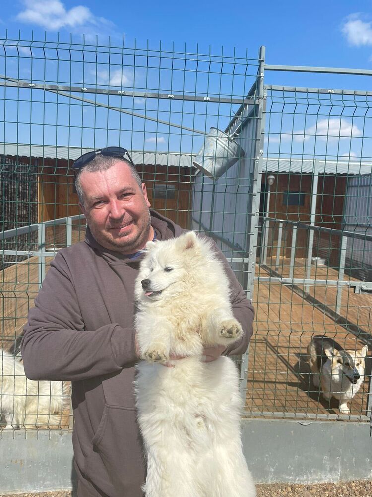 ���� 55502291 ������� �������, 45 ���, ���� ���������� � ���