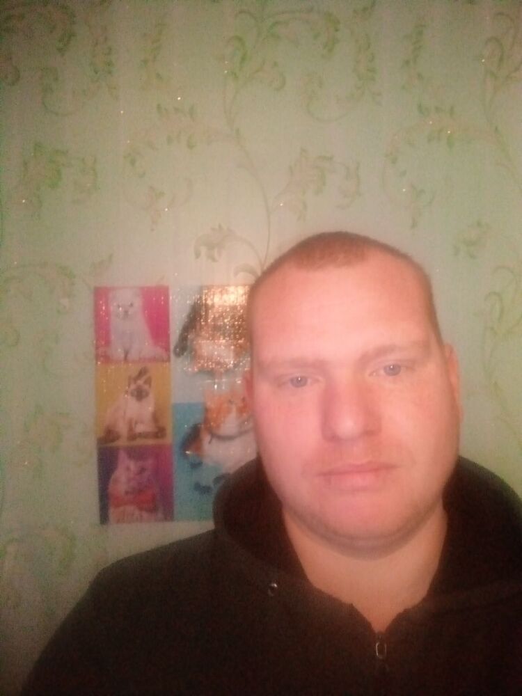 ���� 31371251 ������� �������, 34 ����, ���� ���������� � ���������������