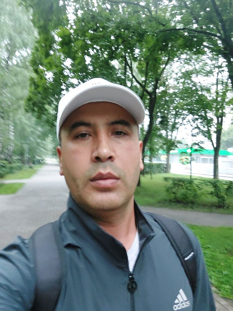  53139441  , 33 ,    