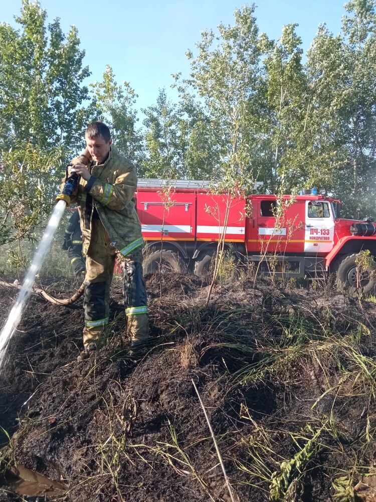 ���������� �����, ���� ������� ������, 37 ���, ������������ ��� ����� � ���������, c�������� ���������