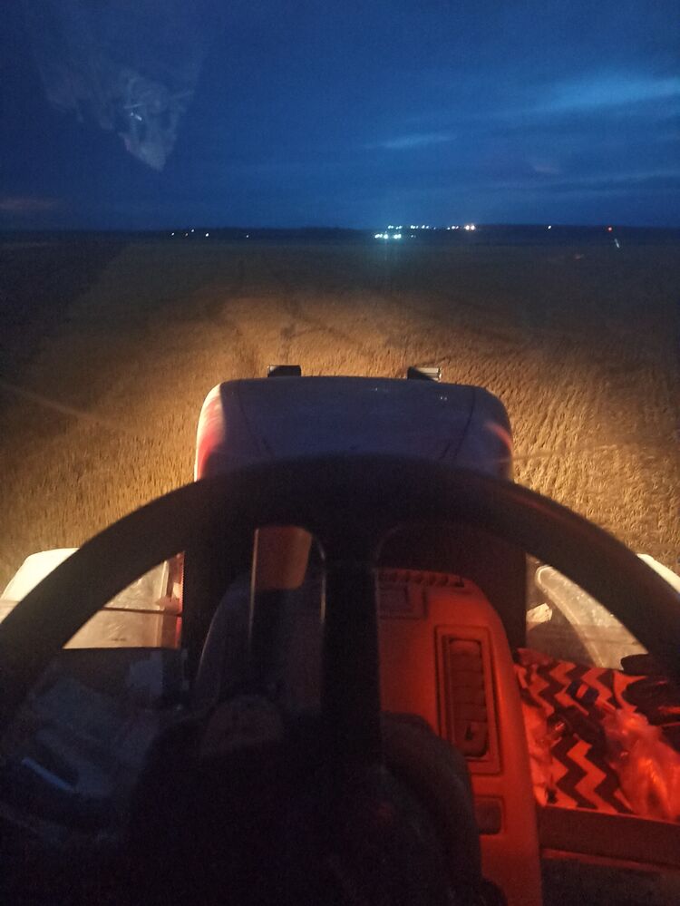 ���� 29853941 ������� Ը���, 35 ���, ���� ���������� � ����