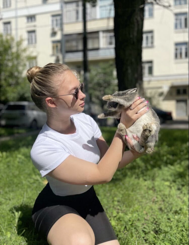 ���� 36766991 ������� �����, 25 ���, ���� ���������� � ������