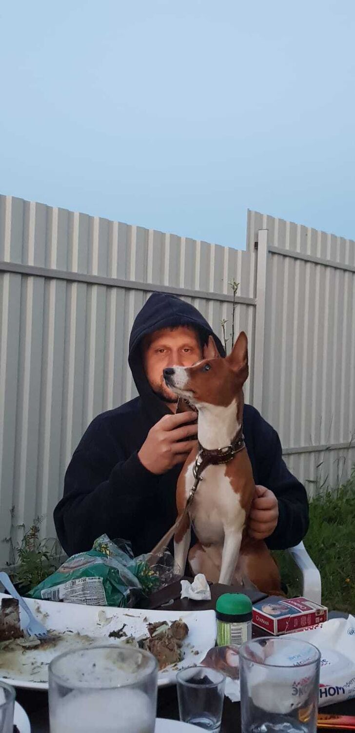 ���� 27310361 ������� �������, 42 ����, ���� ���������� � ������