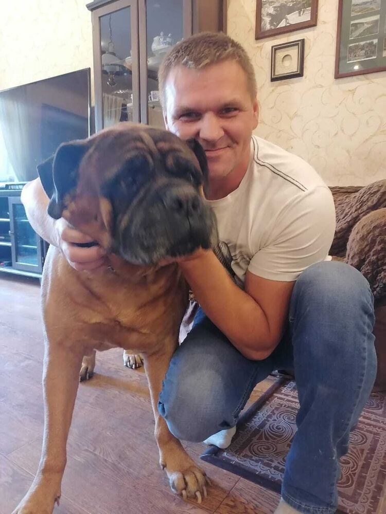 ���� 23125981 ������� ����, 42 ����, ���� ���������� � ������