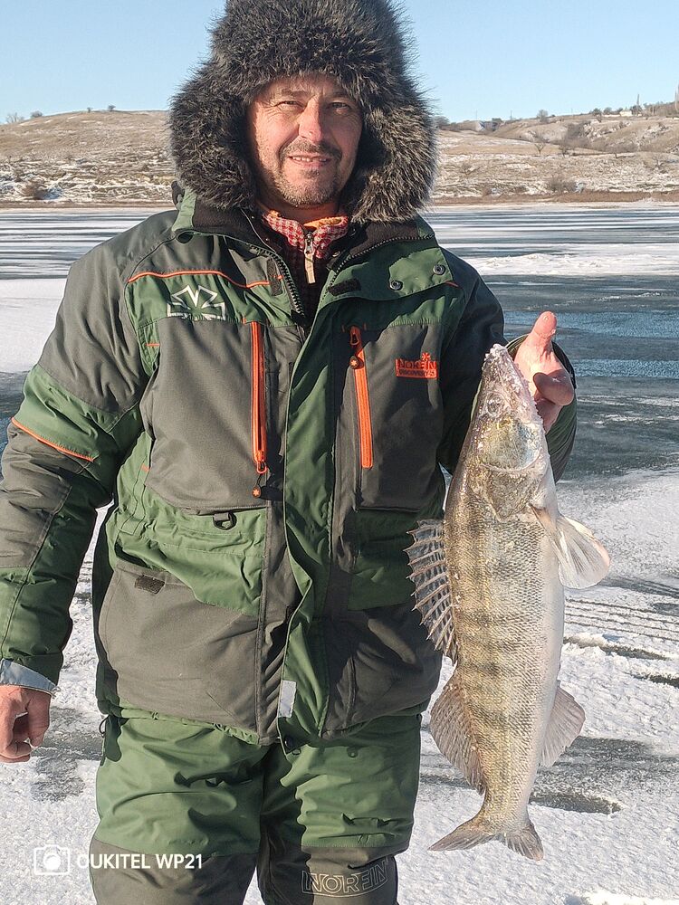 ���������� ����������, ���� ������� ��������, 55 ���, ������������ ��� c�������� ���������