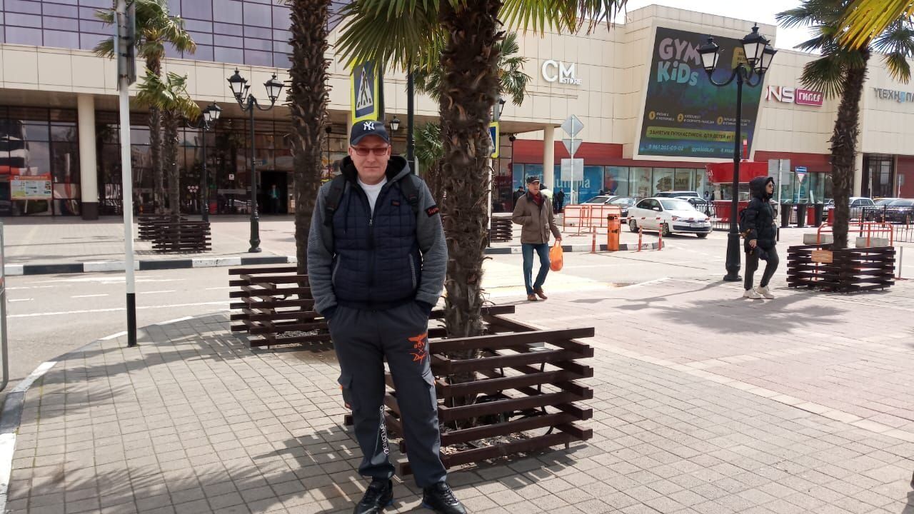  33548331  , 43 ,    