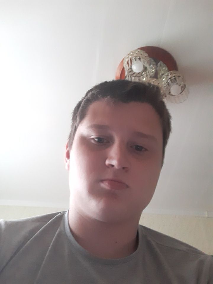  31668091  , 21 ,    