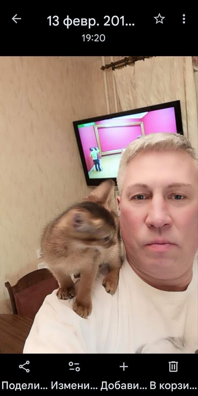 ���������� �����-���������, ���� ������� ����, 58 ���, ������������ ��� ������, ����� � ���������