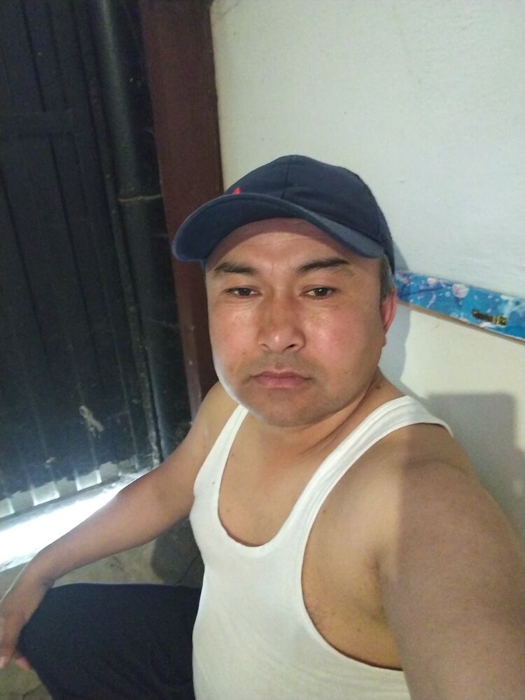  47198371  , 38 ,    