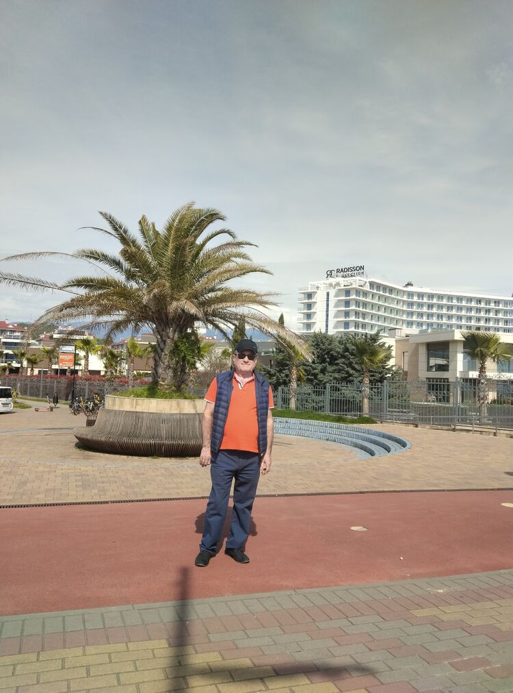  33916311  , 59 ,    