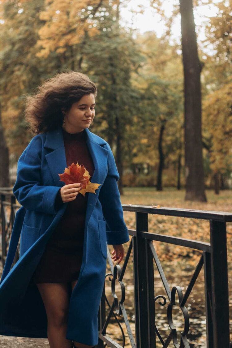  54029121  , 27 ,    -