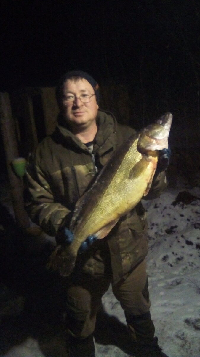 ���������� ���������, ���� ������� �����, 43 ����, ������������ ��� ������, ����� � ���������, c�������� ���������