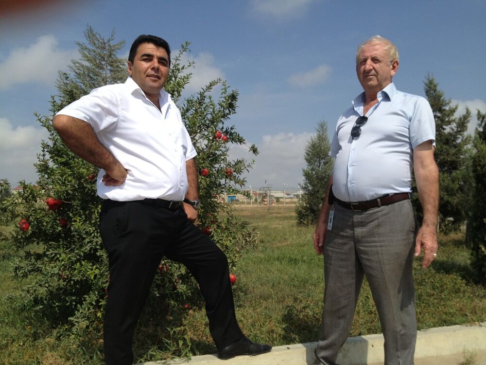 ���������� ����, ���� ������� Musa, 55 ���, ������������ ��� ������, ����� � ���������, c�������� ���������