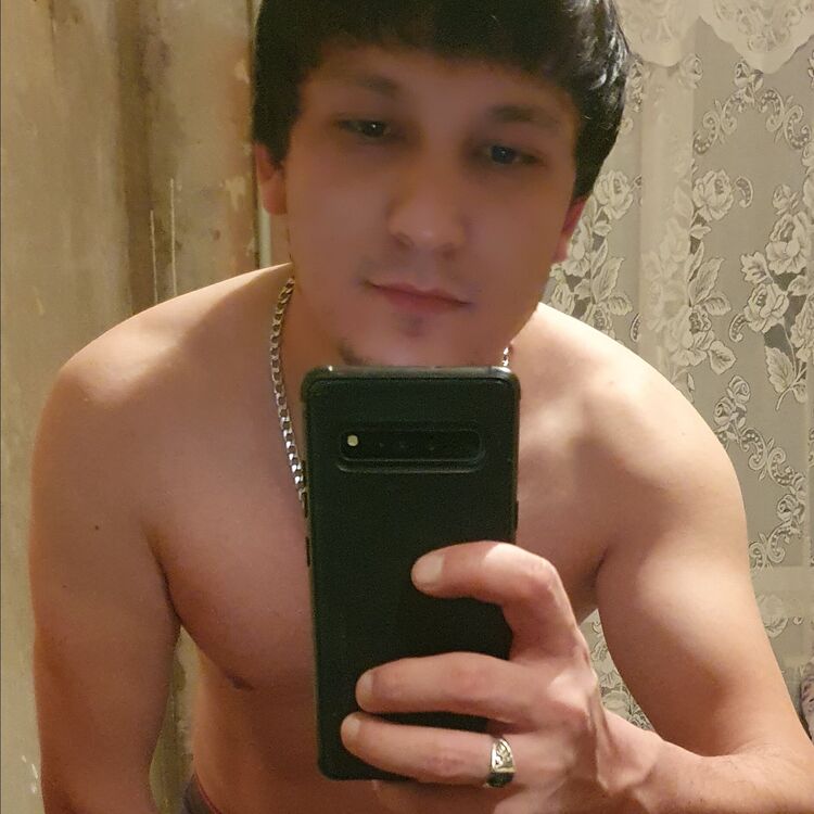  31152051  , 28 ,    