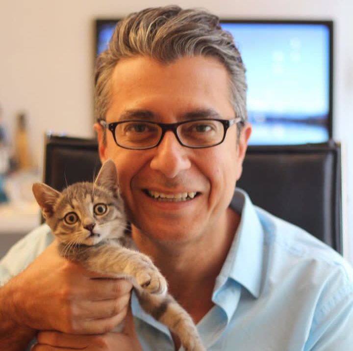 ���� 31681501 ������� ������, 62 ����, ���� ���������� � ������