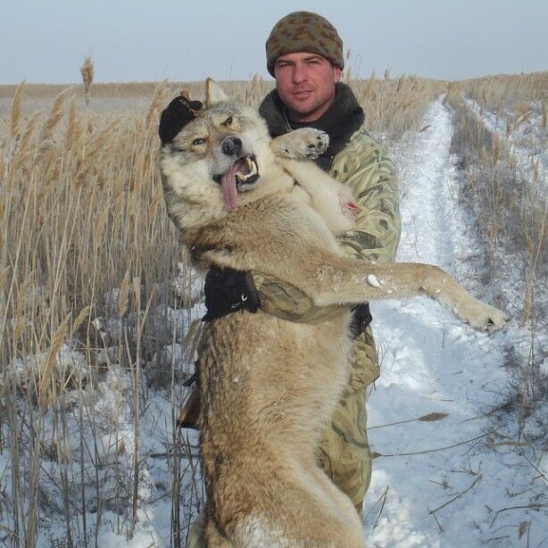 ���������� ���������, ���� ������� �����, 39 ���, ������������ ��� ������, ����� � ���������