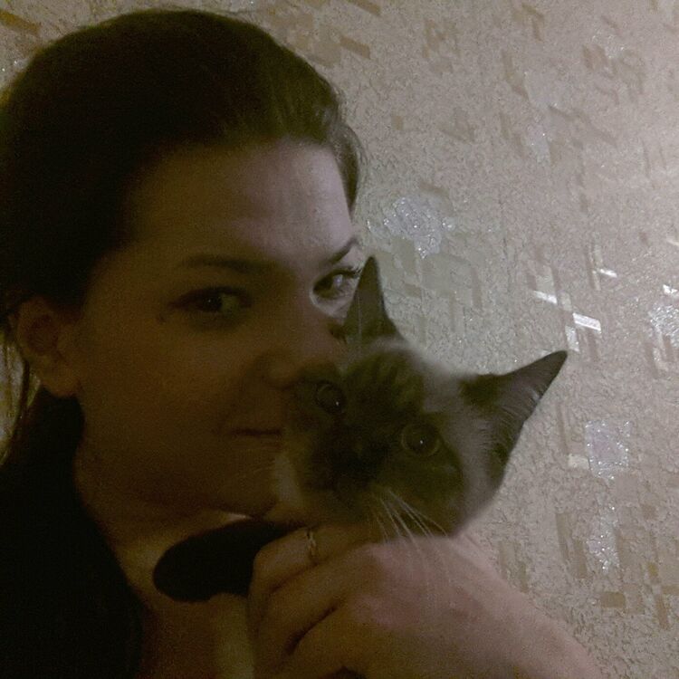 ���� 55367941 ������� ����, 29 ���, ���� ���������� � �����-����������