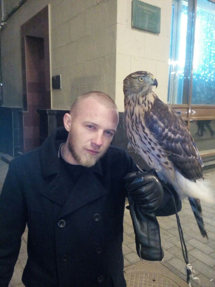 ���������� ������, ���� ������� ����, 38 ���, ������������ ��� ������, ����� � ���������, c�������� ���������