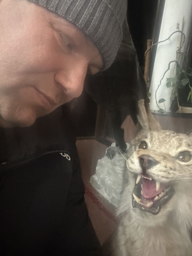 ���� 54384861 ������� ������, 45 ���, ���� ���������� � ������