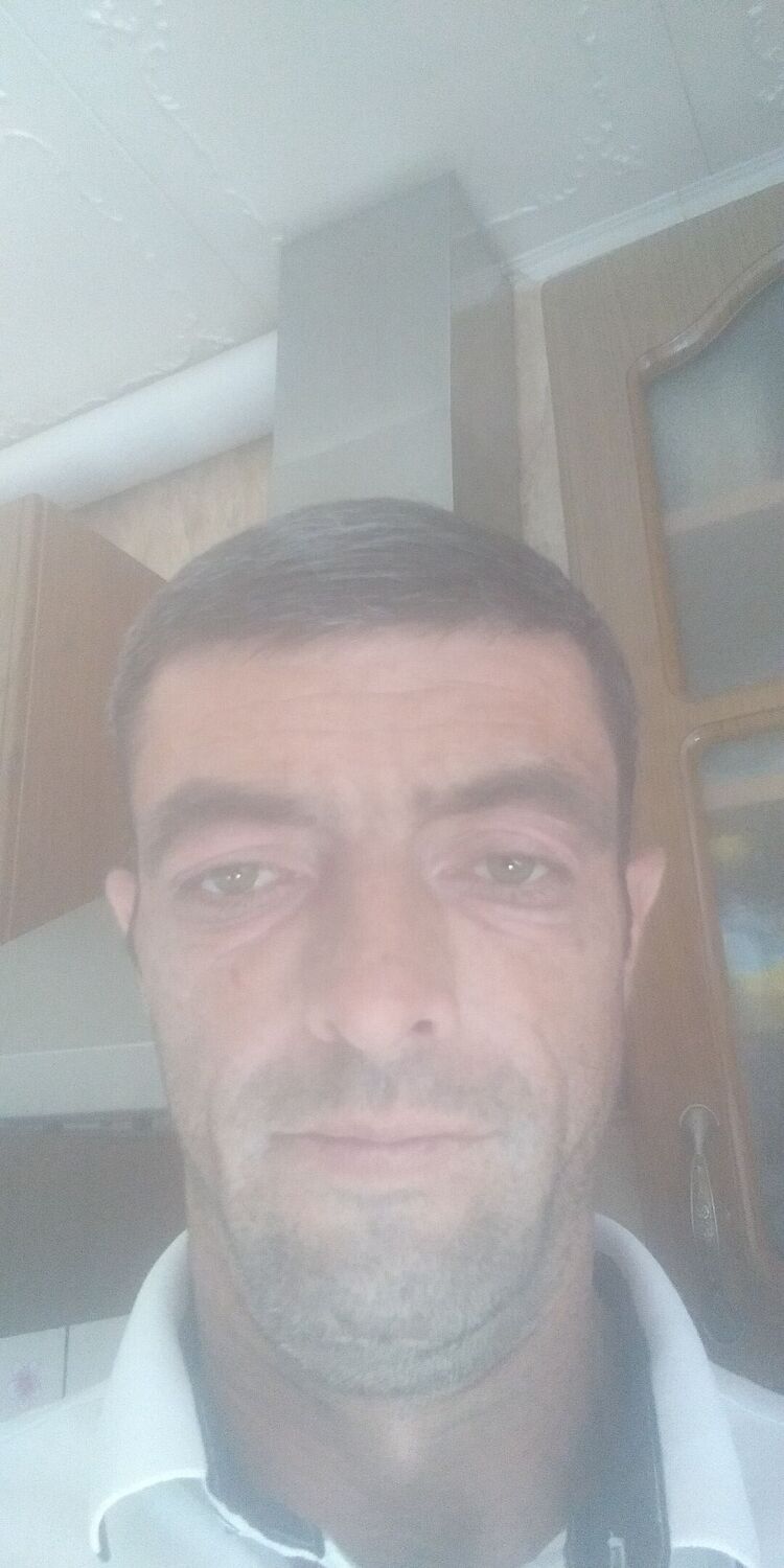  35097431  , 43 ,    