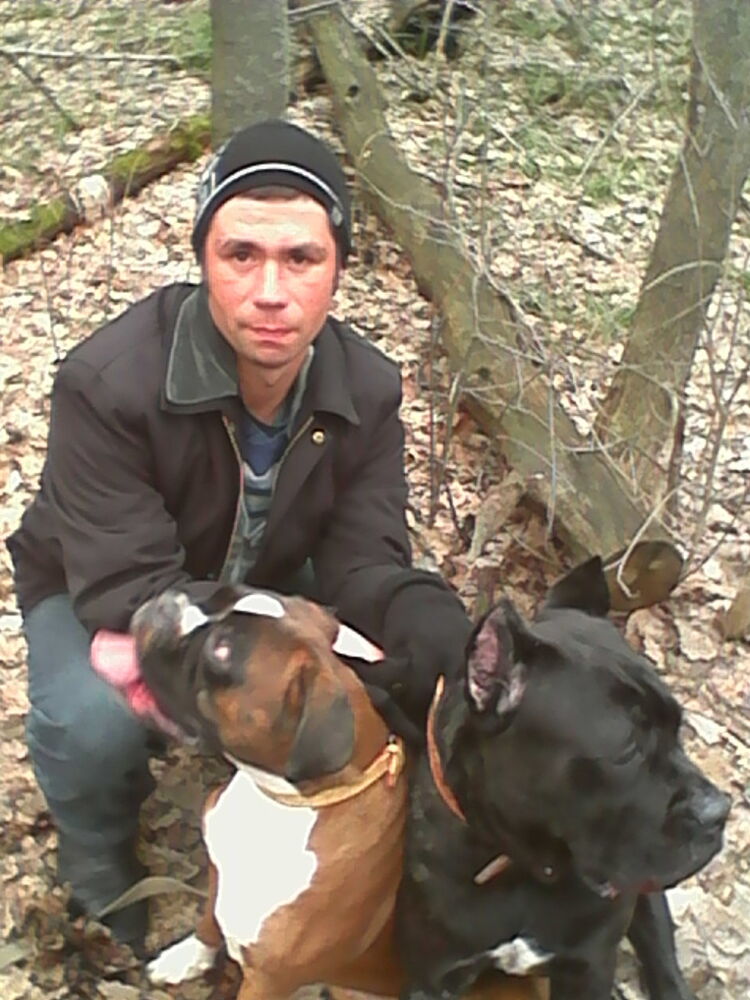 ���������� �������, ���� ������� ������, 38 ���, ������������ ��� ������, ����� � ���������, c�������� ���������