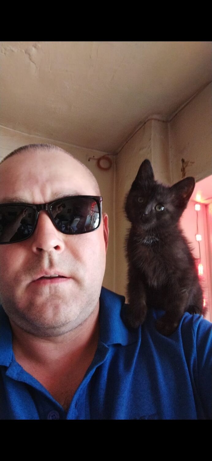 ���������� ���, ���� ������� �������, 45 ���, ������������ ��� ������, ����� � ���������