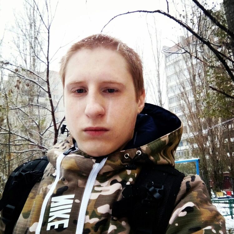  48881661  , 31 ,    