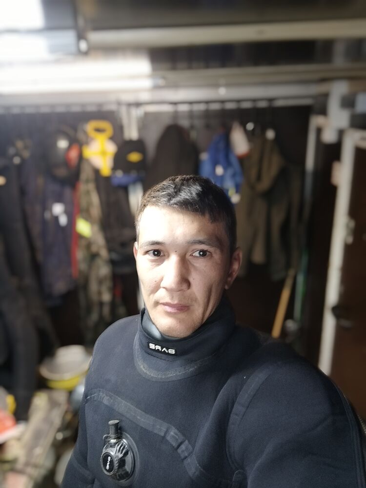  50287101  , 33 ,    