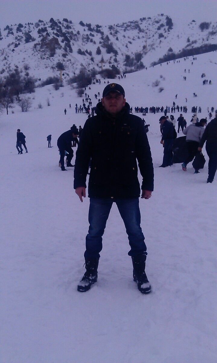  8504991  977567602, 44 ,    