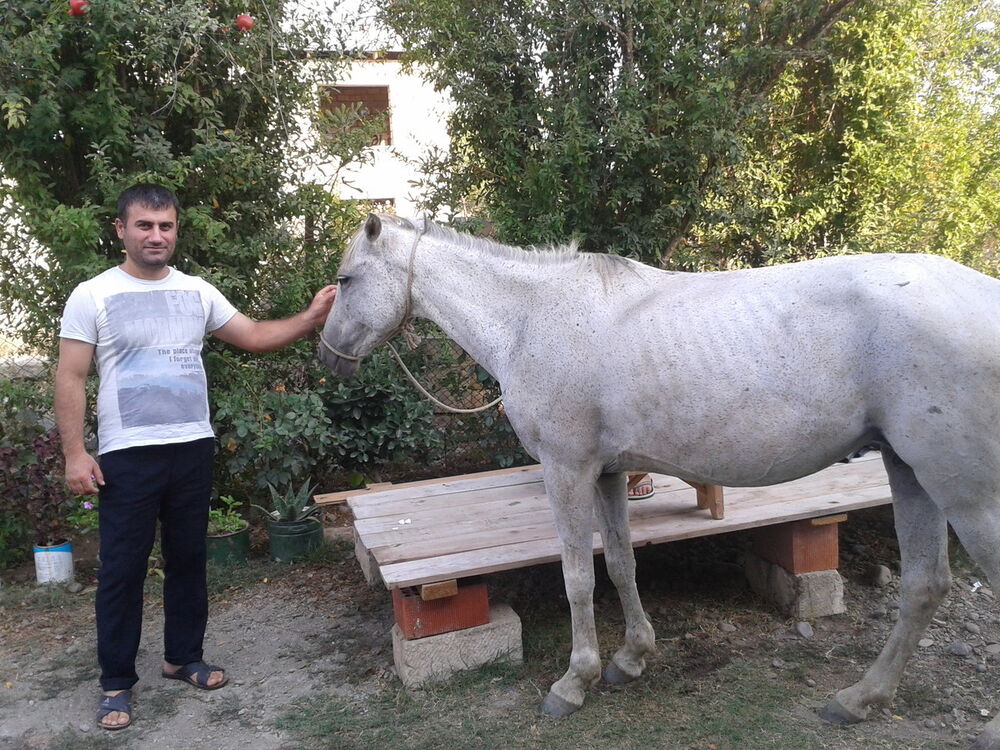 ���������� ����, ���� ������� Emin, 42 ����, ������������ ��� ���������