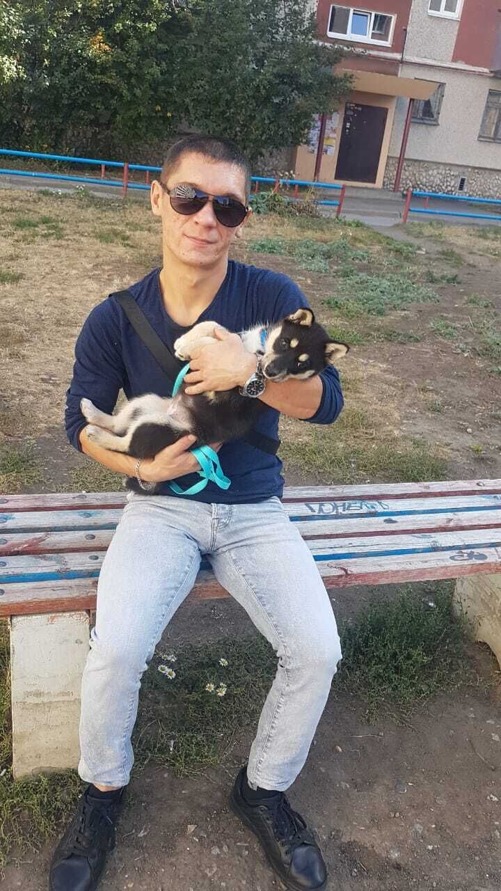  -,   , 34 ,   