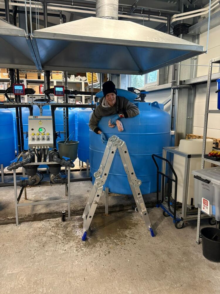  54003111  Oleg, 37 ,    -